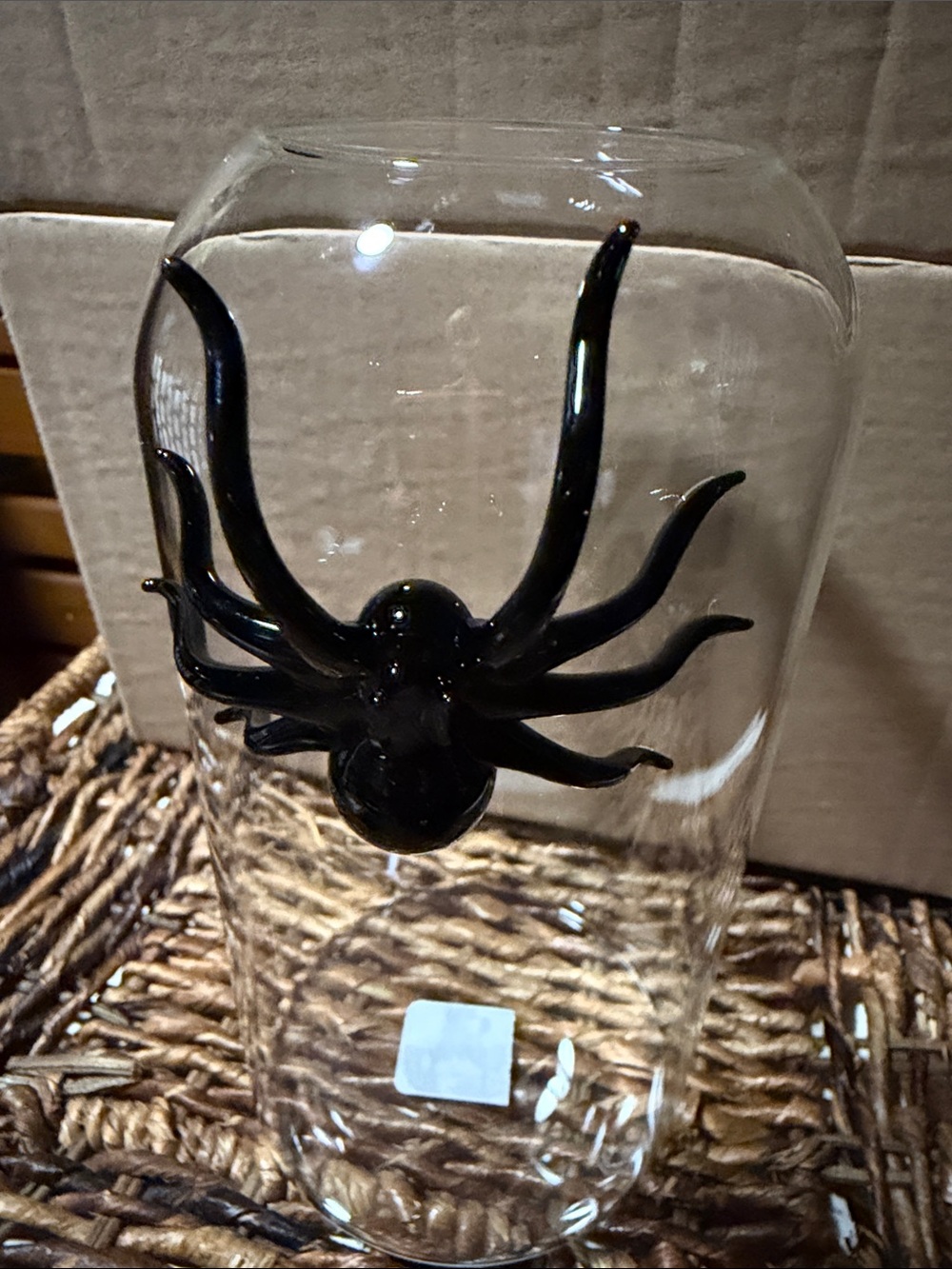 West Elm Clear Glass Bud Vase with Black Spider 🕷️ Accent BNIB - Picture 3 of 7